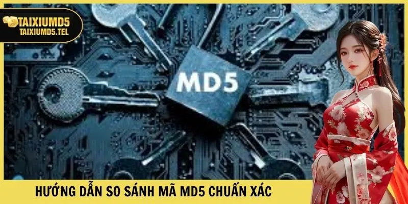 Hướng dẫn so sánh mã MD5 chuẩn xác